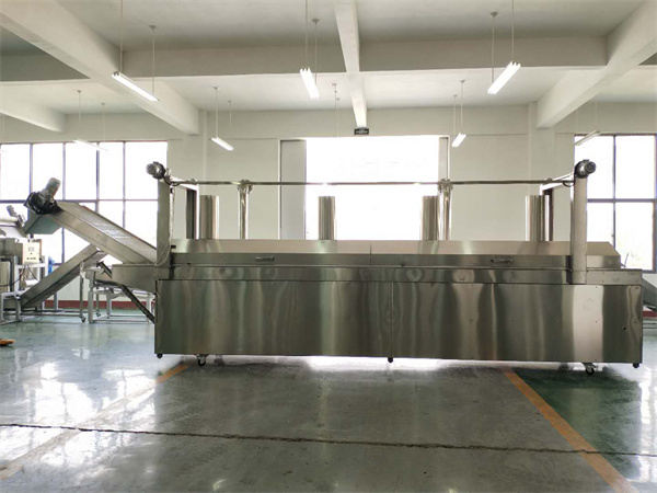 連續(xù)式油炸生產(chǎn)線
